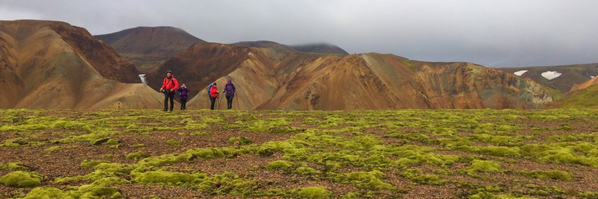 Hike in Iceland Hiking Trips