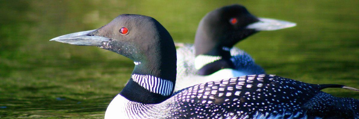 Hike in United States Hiking Trips