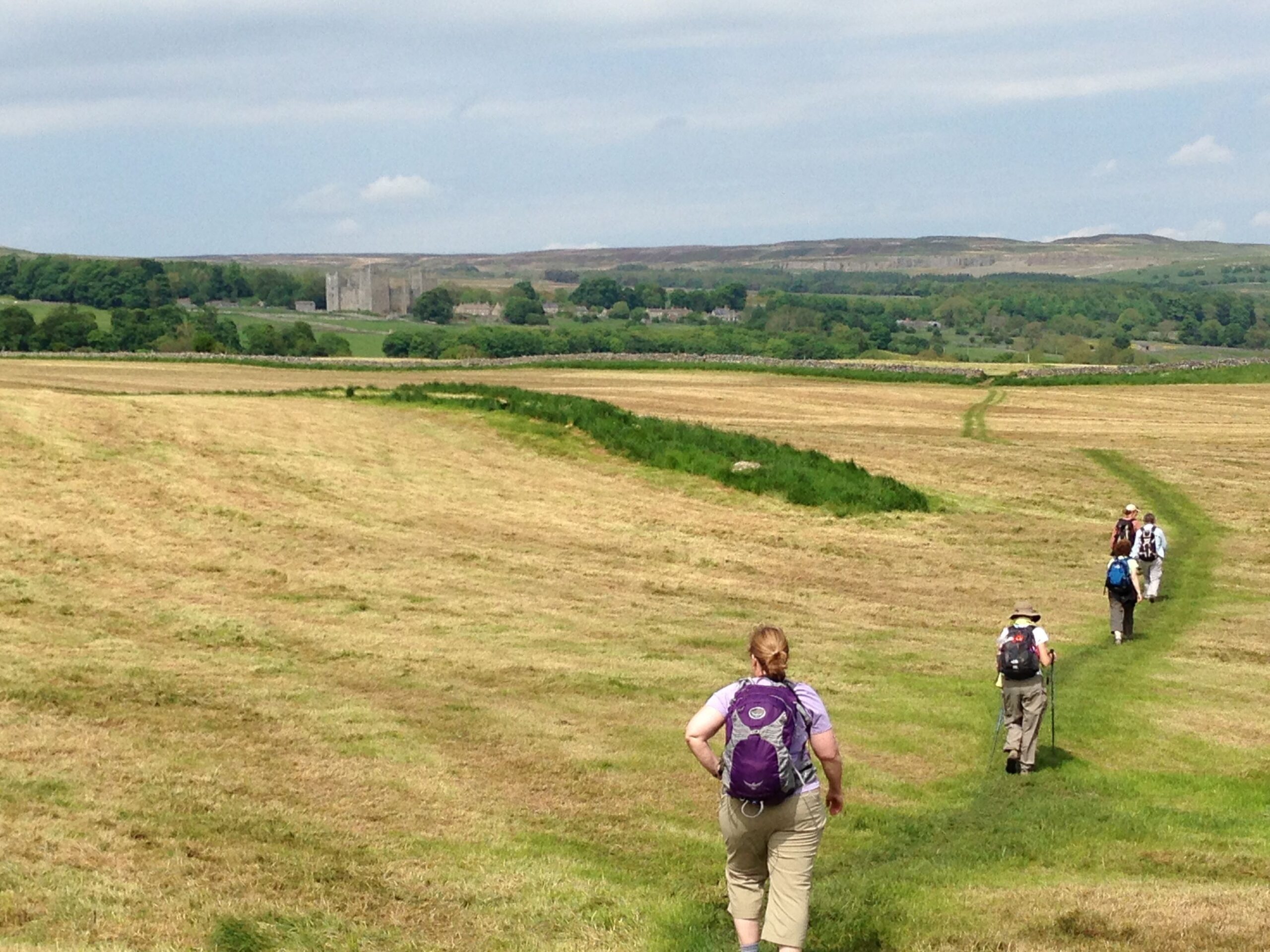 How to Choose Hiking Boots for Your Next Hiking Trip