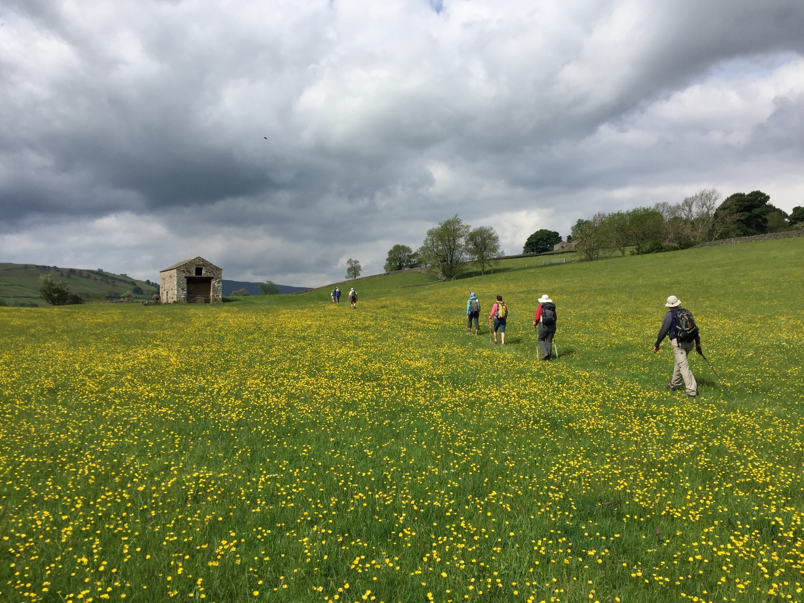 Hear From Those Who Have Walked James Herriot Way