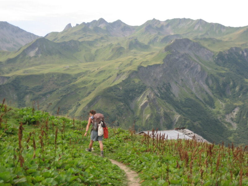 French Food Guide: Alps, Dordogne & Provence Cuisine